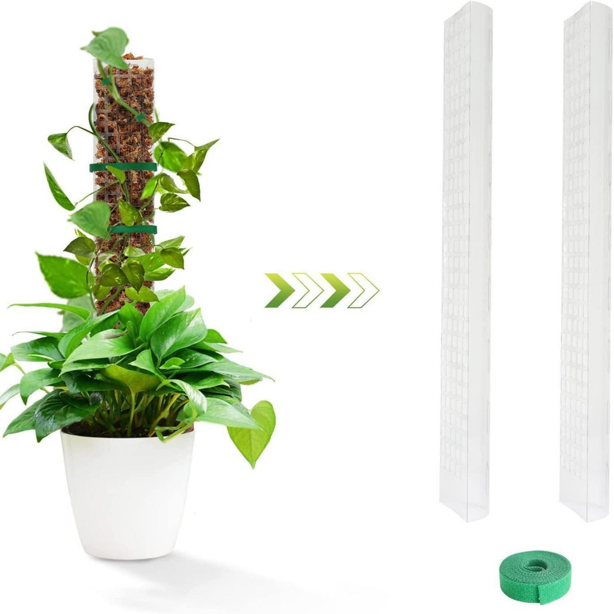 Moss Pole for Plants, Stackable 6 Piece Plant Support