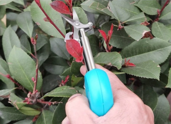 Mini Pruning Snips for Houseplants, Straight Blade