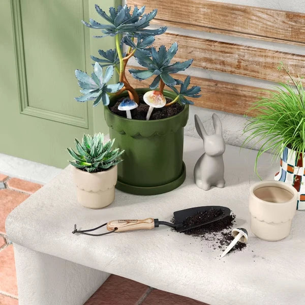 Scalloped Ceramic Planter 4", Cream Glazed Succulent Pot