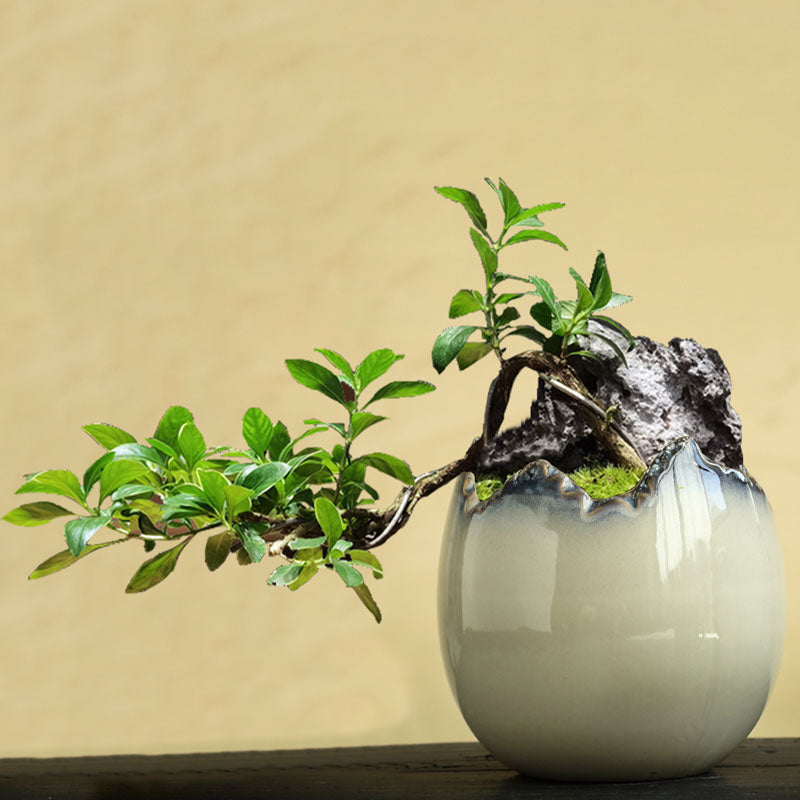 Eggshell Planter, Notched Stoneware Succulent Pot