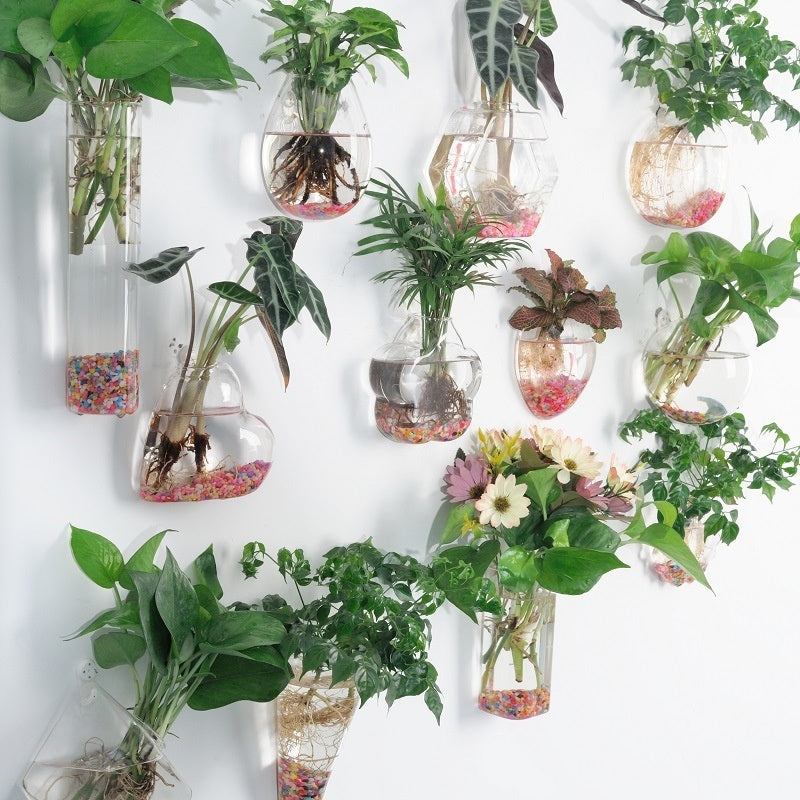 Hanging Glass Propagation Vase, Clear Bubble Shapes