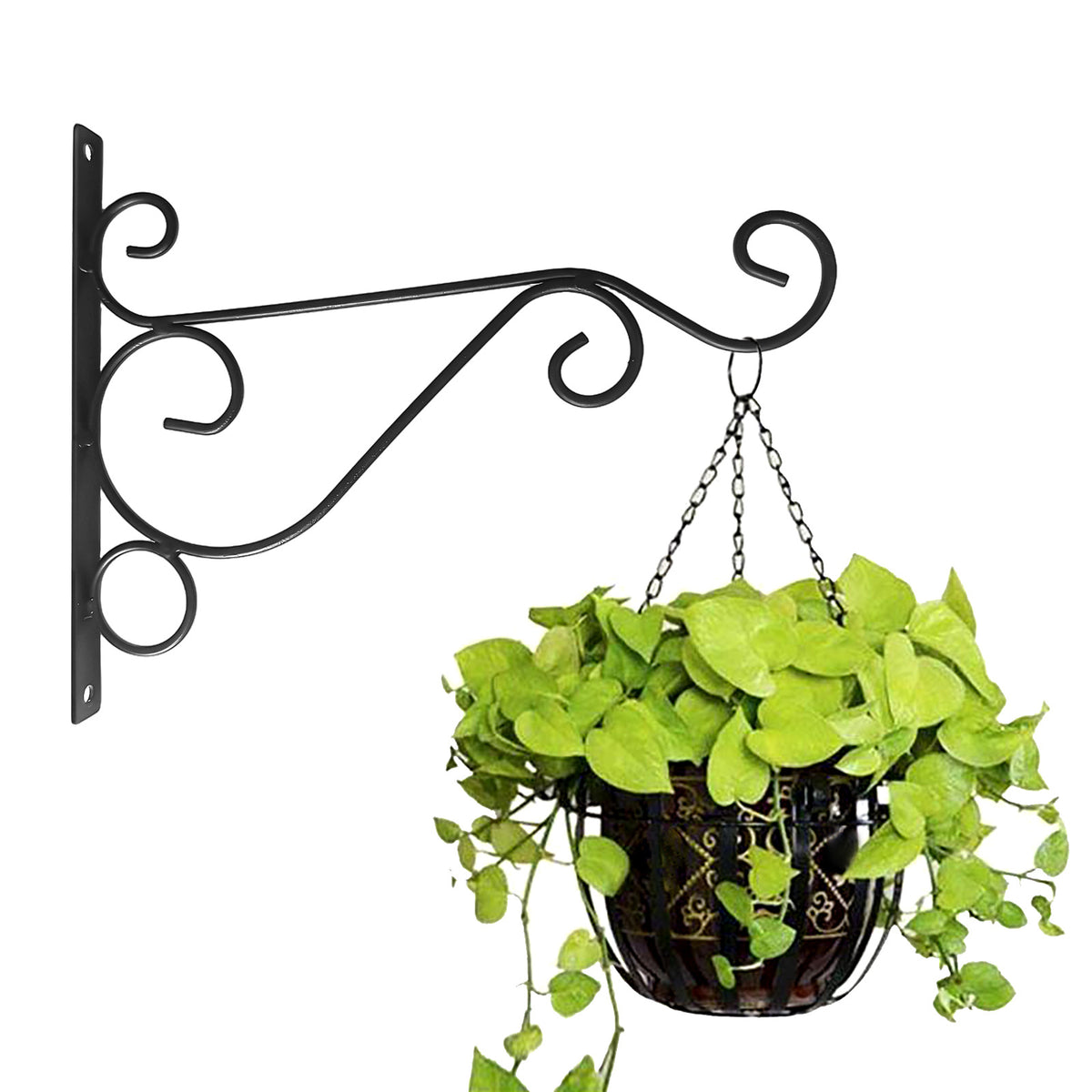 Plant Hanger Bracket, Rustic Iron Wall Hook