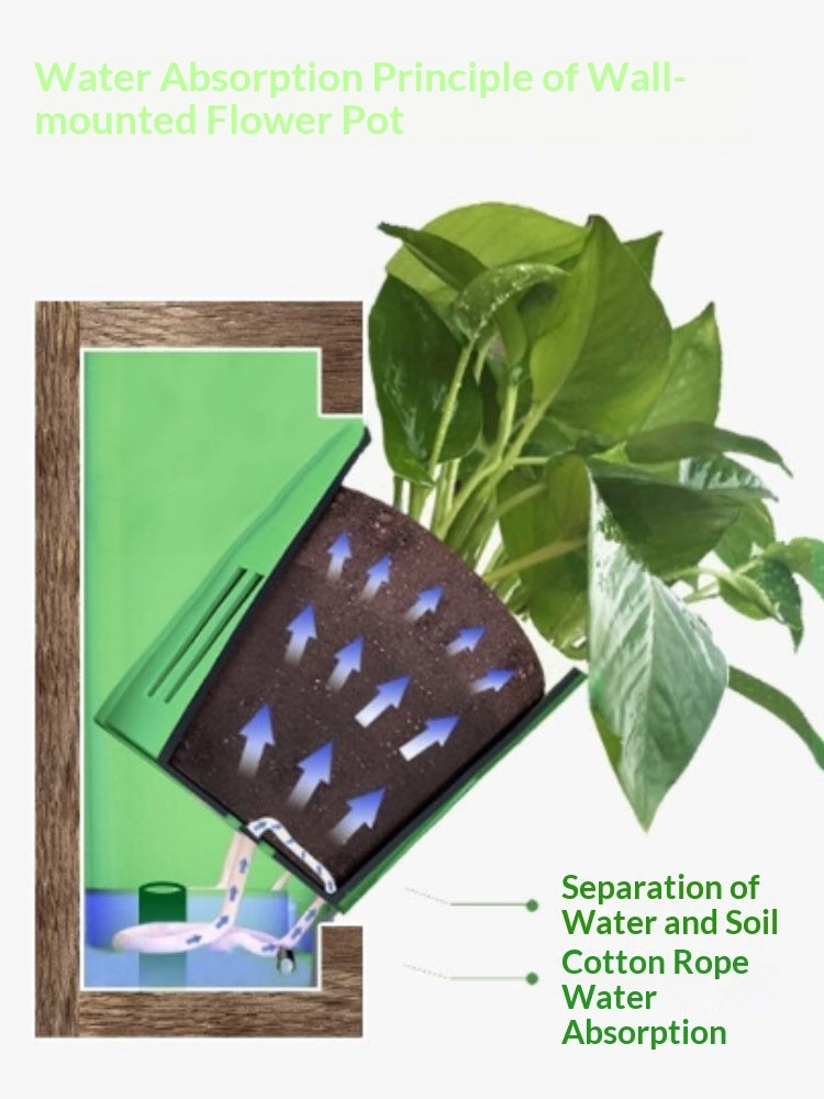 Wall Frame Planter, Self-Watering Living Wall Pot