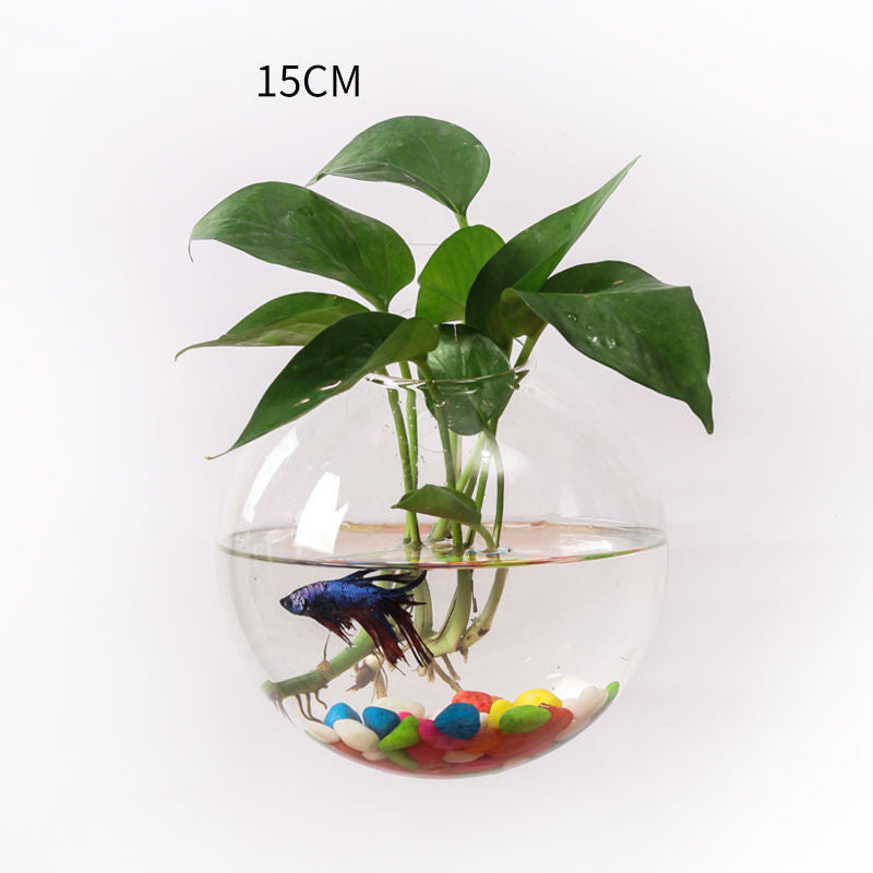 Wall Glass Terrarium, Hanging Bubble Planter