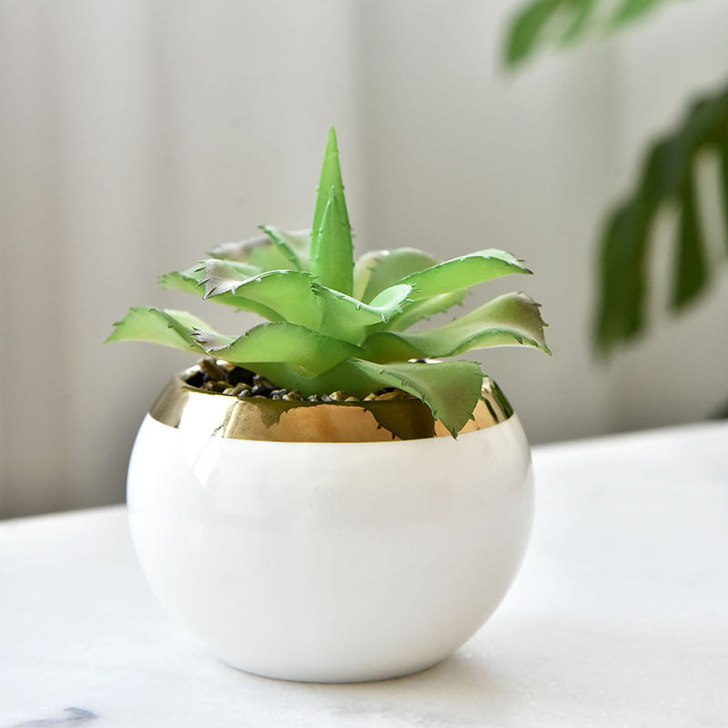 Nordic Ceramic Succulent Pot with Iron Stand Option