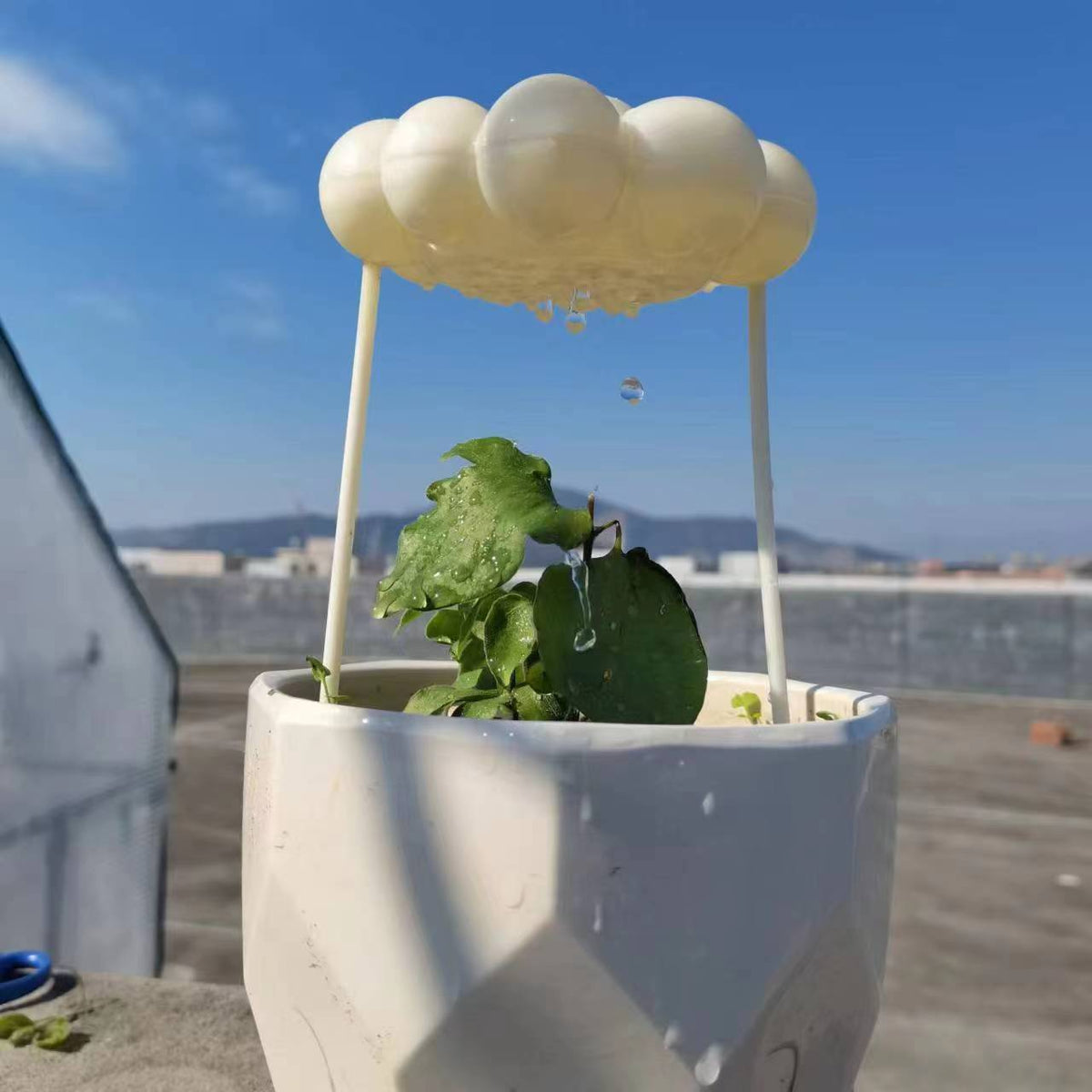 Rain Cloud Watering Stake, Self-Watering Plant Globe