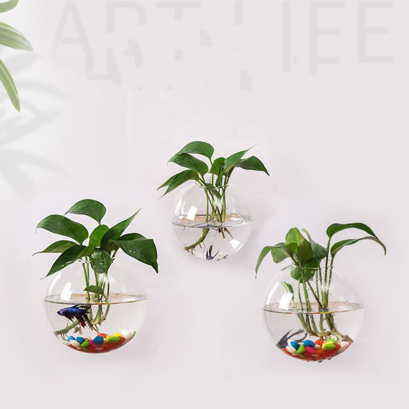 Wall Glass Terrarium, Hanging Bubble Planter